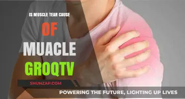 Muscle Growth and Tears: What's the Connection?