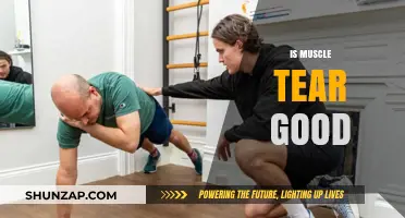 Is Muscle Tear Beneficial? Unraveling the Myths and Facts