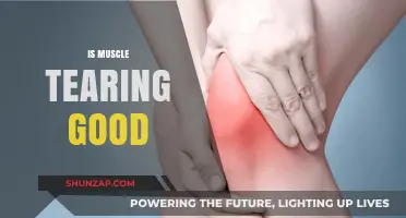 Is Muscle Tearing Beneficial for Strength and Recovery?