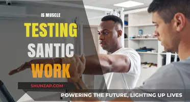Is Muscle Testing Scientific? Separating Fact from Fiction in Applied Kinesiology