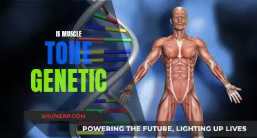 Muscle Tone: Nature's Gift or Nurtured Strength?