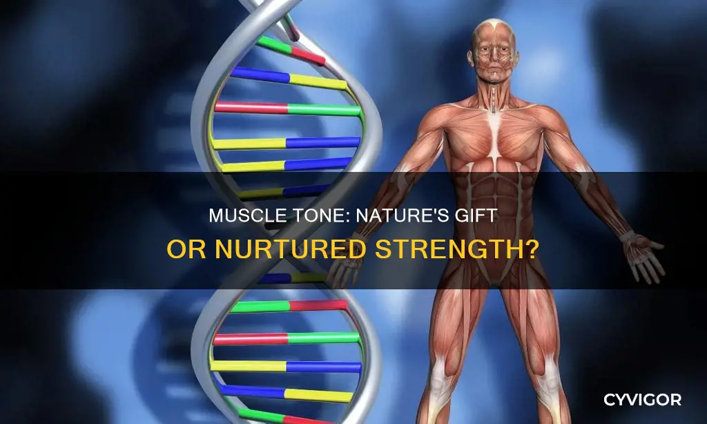 is muscle tone genetic