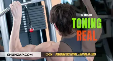 Muscle Toning: Fact or Fiction?