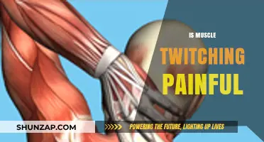 Is Muscle Twitching Painful? Understanding Causes, Symptoms, and Relief