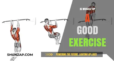 Muscle Up: Effective Full-Body Exercise or Overrated Gym Move?