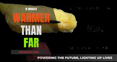 Muscle Heat vs. Far Infrared: Which Warmth Wins?