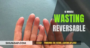 Reversing Muscle Wasting: Is It Possible?