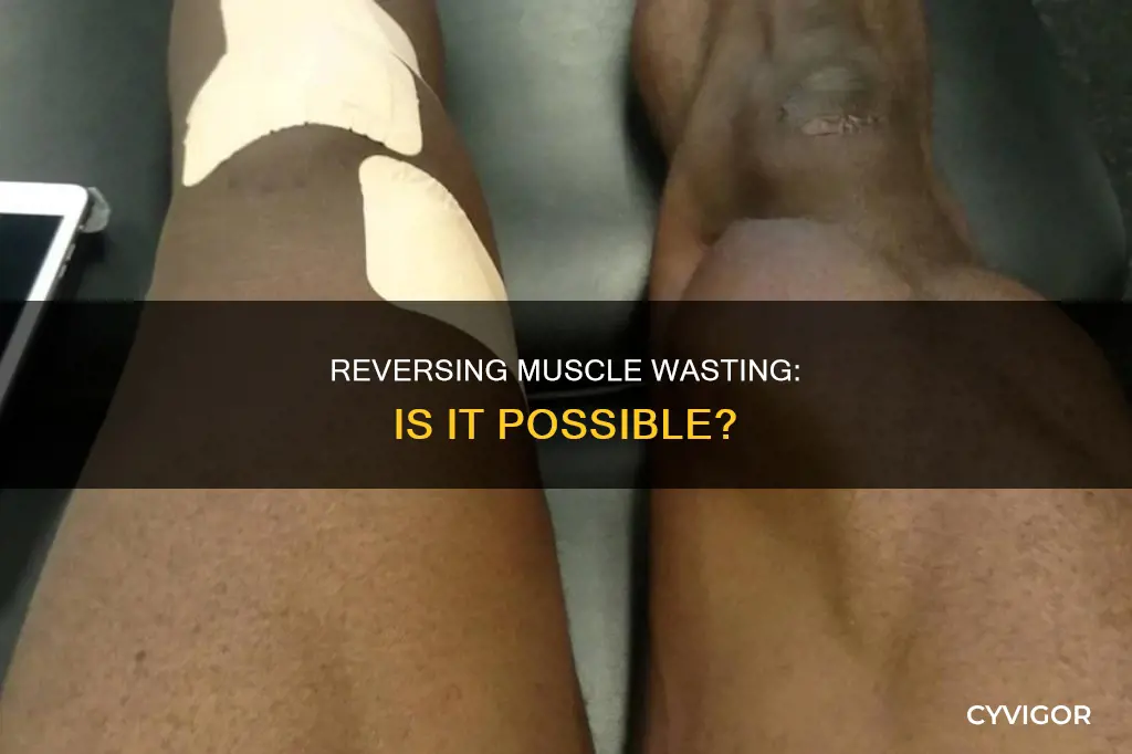 is muscle wasting reversible