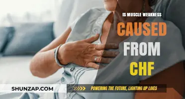 CHF's Impact: Muscle Weakness and You
