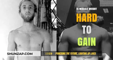 Is Muscle Weight Hard to Gain? Unlocking the Truth for Beginners