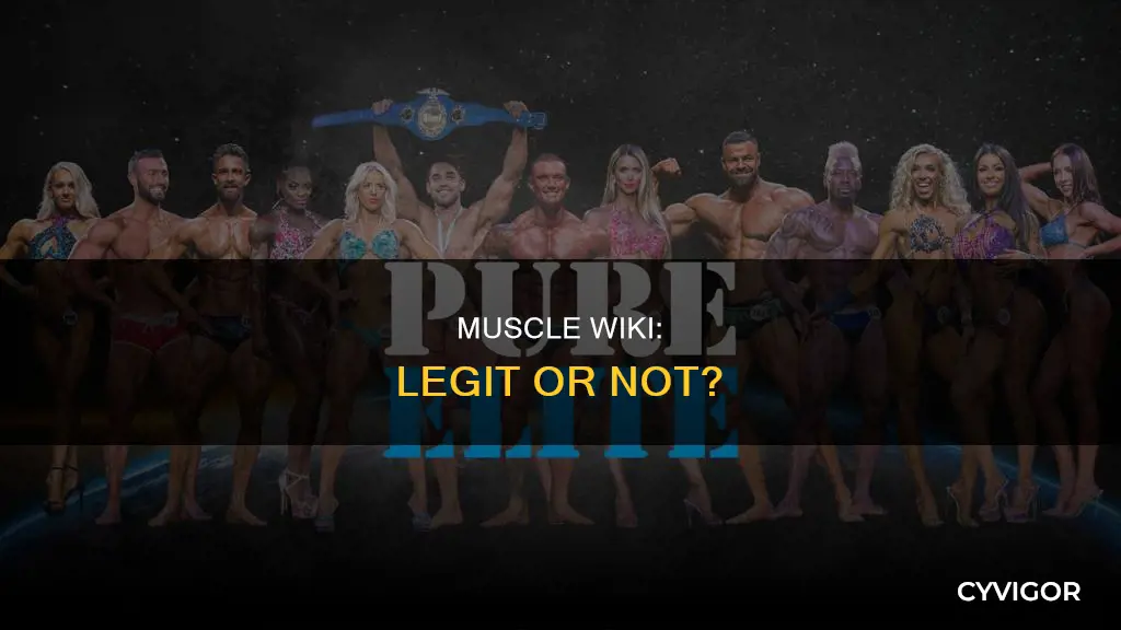 is muscle wiki legit