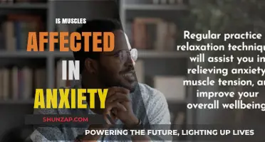 Unraveling the Connection: Anxiety's Impact on Muscle Health Explored