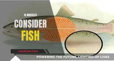 Muscles: A Fishy Tale of Misunderstood Seafood Delicacy