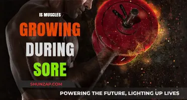 Muscle Growth and Soreness: Understanding the Connection and Recovery