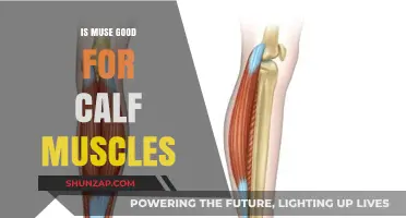 Is Muse Effective for Calf Muscle Strength and Flexibility?