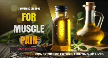 Mustard Oil for Muscle Pain: Natural Relief or Myth?