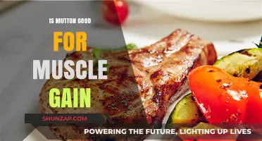 Mutton for Muscle Gain: Benefits, Nutrition, and Effective Strategies