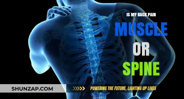 Back Pain: Muscle Strain or Spinal Issue? How to Tell