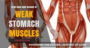 Weak Stomach Muscles: The Hidden Cause of Your Back Pain?