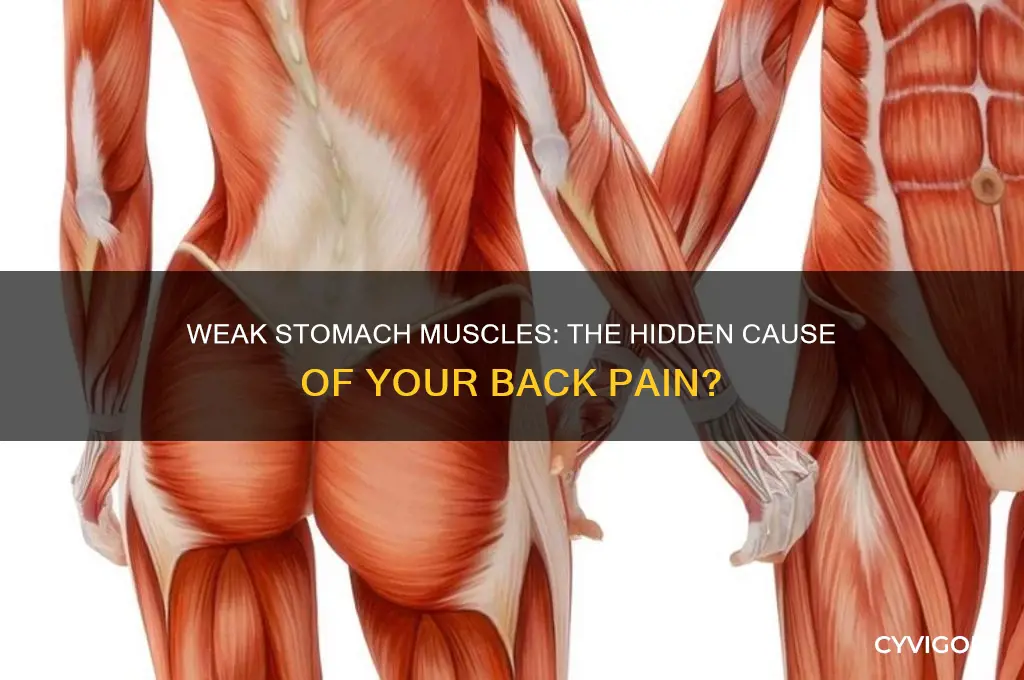 is my back sore because of weak stomach muscles