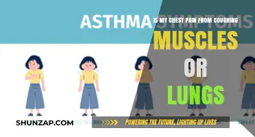 Chest Pain from Coughing: Muscle Strain or Lung Issue?