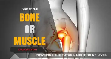 Hip Pain: Bone or Muscle? Identifying the Source of Discomfort
