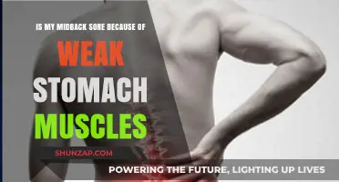 Weak Stomach Muscles: The Hidden Cause of Your Mid-Back Pain?