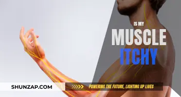 Muscle Itch: What Does It Mean?