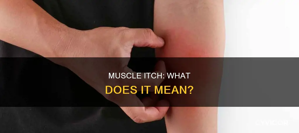 is my muscle itchy