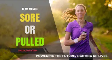 Muscle Soreness vs. Pulled Muscle: How to Tell the Difference