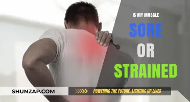 Muscle Soreness vs. Strain: How to Tell the Difference