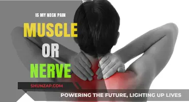 Neck Pain: Muscle Strain or Nerve Issue? How to Tell