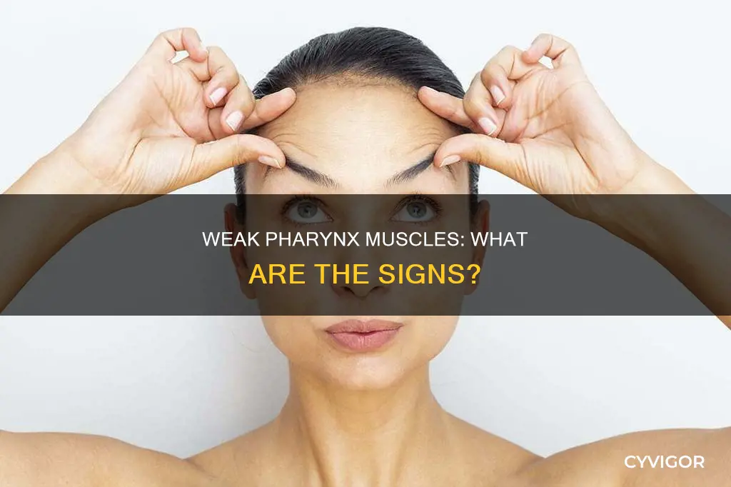 is my phoasis muscle weak