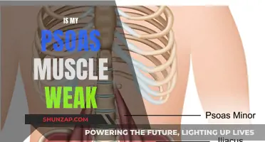 Unlocking Psoas Muscle Strength: Weakness and Beyond