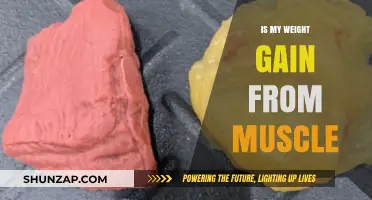 Muscle or Fat? Decoding Your Weight Gain Mystery