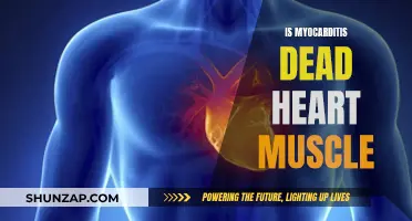 Myocarditis: Understanding Dead Heart Muscle and Recovery