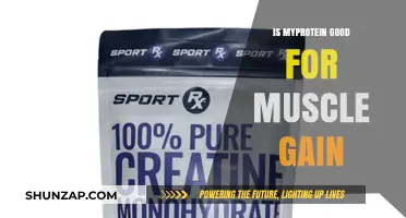 Is MyProtein Effective for Muscle Gain? A Comprehensive Review