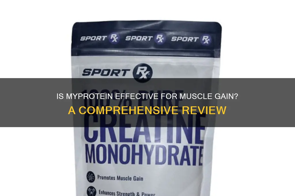 is myprotein good for muscle gain
