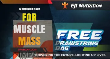 Is MyProtein Effective for Building Muscle Mass? A Detailed Review