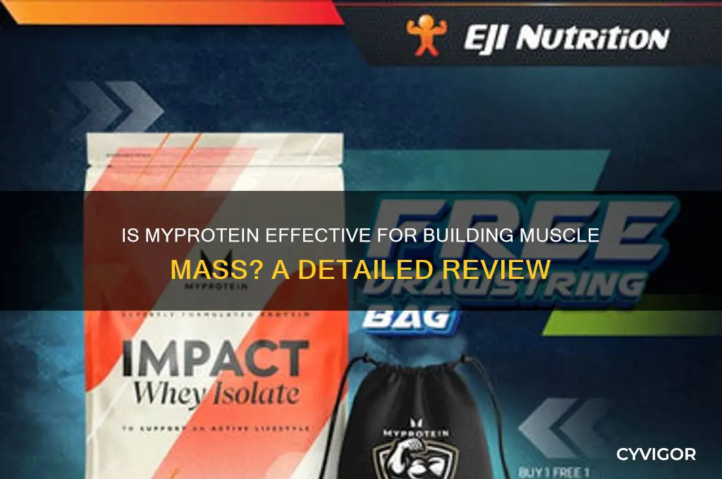 is myprotein good for muscle mass