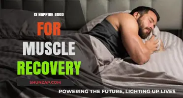 Napping for Muscle Recovery: Benefits, Timing, and Optimal Strategies