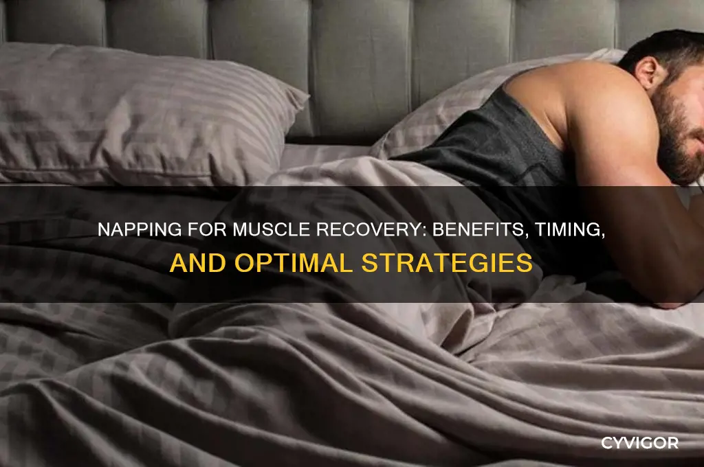 is napping good for muscle recovery