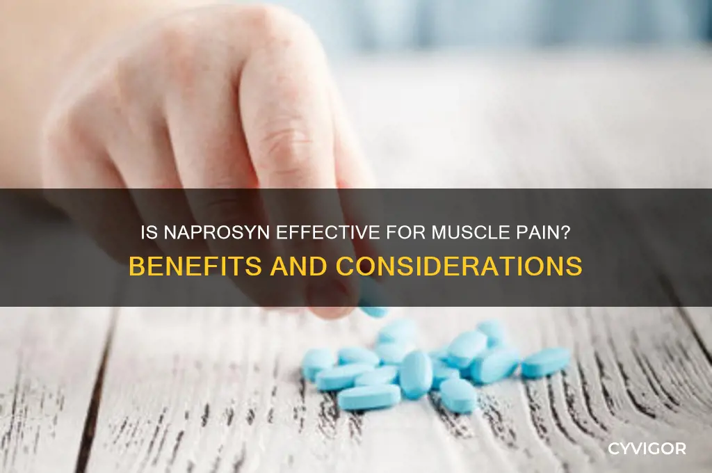 is naprosyn good for muscle pain