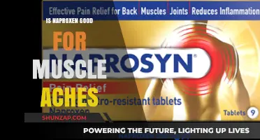 Naproxen for Muscle Aches: Effective Relief or Not?