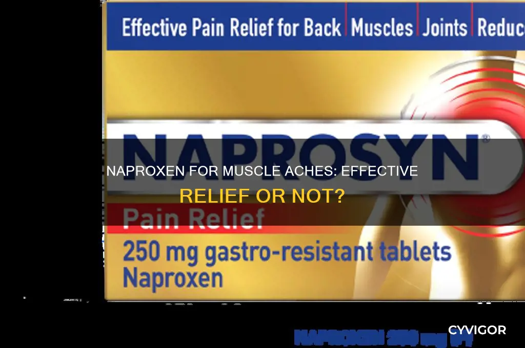 is naproxen good for muscle aches