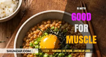 Natto's Muscle Benefits: Unlocking Strength and Recovery Naturally