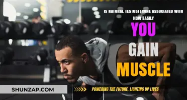 Natural Testosterone Levels: Impact on Muscle Gain and Strength