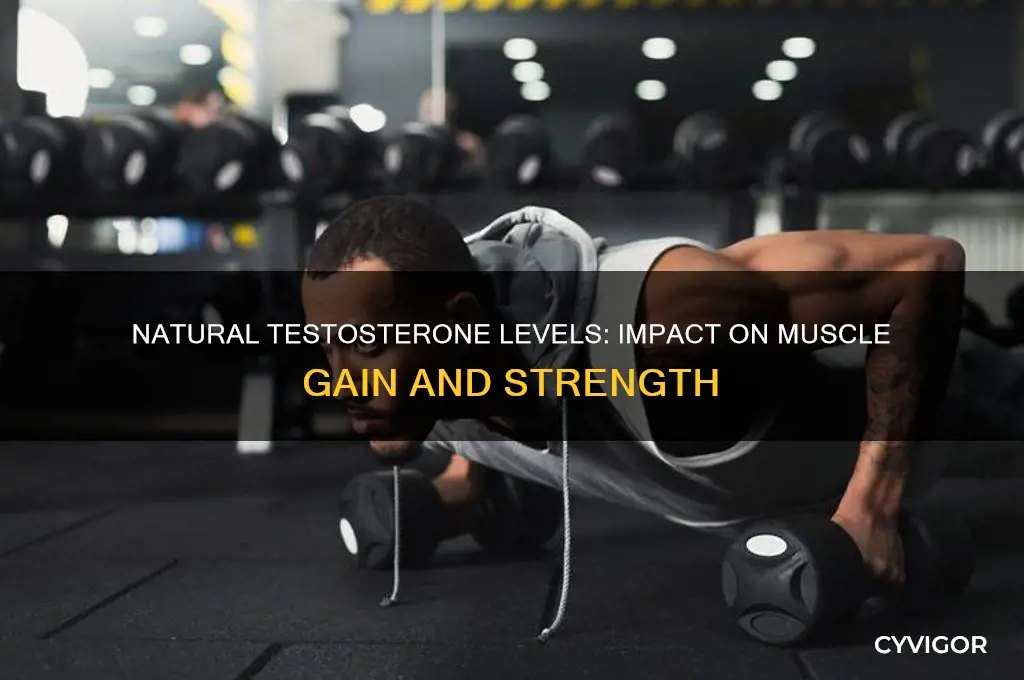 is natural testosterone associated with how easily you gain muscle