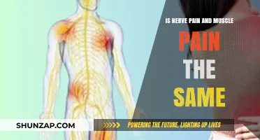 Nerve Pain vs. Muscle Pain: Understanding the Key Differences