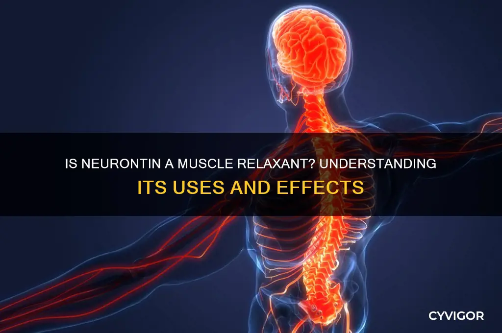is neurontin a muscle relaxant